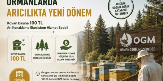 OGM’den Arıcılara Ekosistem Faturası: Kovan Başı 100 TL Dönemi Başladı