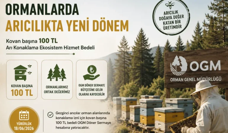 OGM’den Arıcılara Ekosistem Faturası: Kovan Başı 100 TL Dönemi Başladı