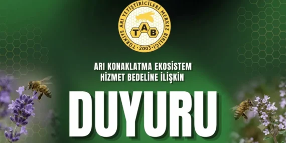Orman Konaklama Ücreti Uygulaması İkinci Bir Duyuruya Kadar Ertelendi