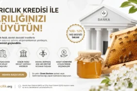 Arıcılık kredisi başvurusu yapan arıcının kovan ve finans desteği planlamasını gösteren profesyonel görsel.