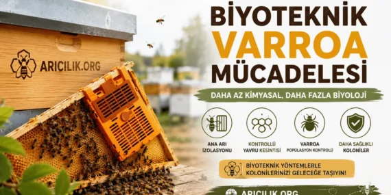 Varroa Mücadelesinde Yeni Dönem: Biyoteknik Yöntemlerle Daha Sağlıklı Koloniler