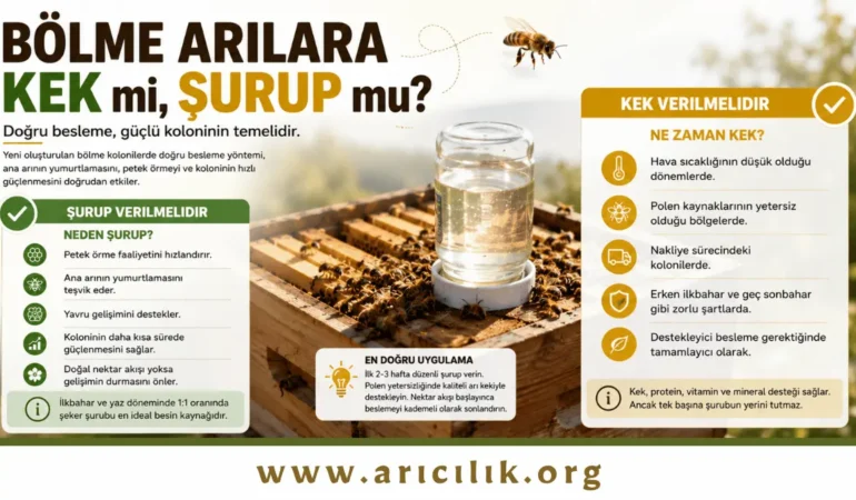 Bölme Arılara Kek mi Verilmeli, Şurup mu? Hangisi Daha Doğru?