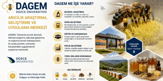 DAGEM Nedir, Ne İşe Yarar? Kimler Faydalanabilir?