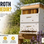 Rulamit ile Varroa Mücadelesi: Ne Zaman, Nasıl Kullanılır? thumbnail