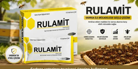 Rulamit ile Varroa Mücadelesi: Ne Zaman, Nasıl Kullanılır?