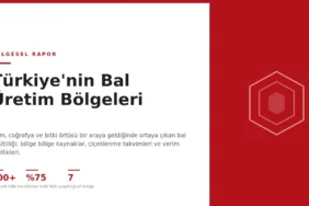Türkiye Bal Üretimi