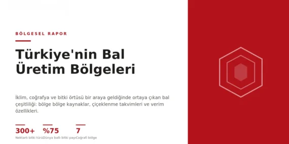 Türkiye’nin Bal Üretim Bölgeleri: Bölgesel Flora Rehberi