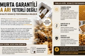 Yumurta garantili ana arı kutusu ve kovanda güçlü yumurta düzeni gösteren profesyonel ana arı üretimi görseli.