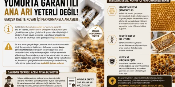 Boyalı Ticari Sloganlar ve Arının Biyolojik Gerçekliği