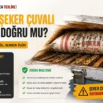 Arı Kovanı Kış Hazırlığı: Kolonilerinizi Kışa Hazırlamanın 5 Altın Kuralı thumbnail