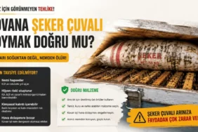Kovanda şeker çuvalı kullanımı