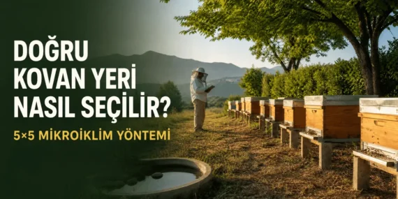 Arılıkta Mikroiklim Haritalama: Kovan Yerleşimini 5 × 5 Gözlem Yöntemiyle Değerlendirme