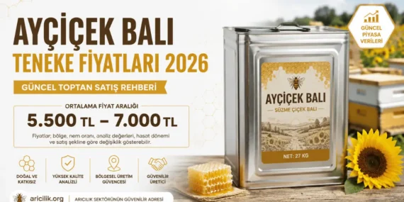 Ayçiçek Balı Teneke Fiyatları 2026: Güncel Toptan Satış Rehberi
