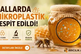 Türkiye’deki Ballarda Mikroplastik Araştırmaları: 2024 ve 2026 Bulguları Balda mikroplastik var mı laboratuvar araştırması ve Türkiye analiz raporu.