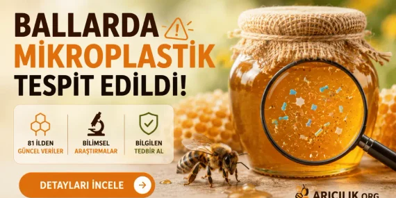 Türkiye’deki Ballarda Mikroplastik Araştırmaları: 2024 ve 2026 Bulguları
