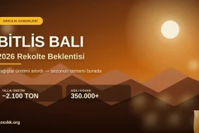 Bitlis Balında 2026 Rekolte Beklentisi: Yağışlar Üretimi Nasıl Artırdı? Bitlis balı 2026 rekolte beklentisi — yayla manzarası ve bal peteği görseli