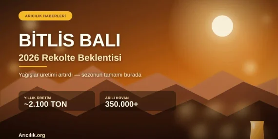 Bitlis Balında 2026 Rekolte Beklentisi: Yağışlar Üretimi Nasıl Artırdı?