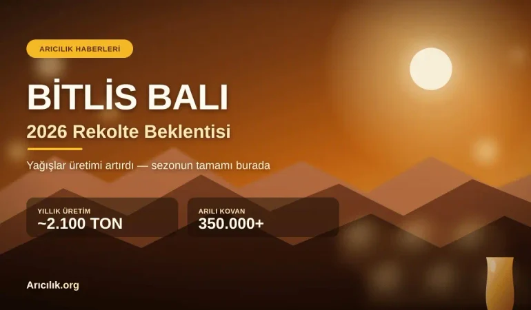 Bitlis Balında 2026 Rekolte Beklentisi: Yağışlar Üretimi Nasıl Artırdı?