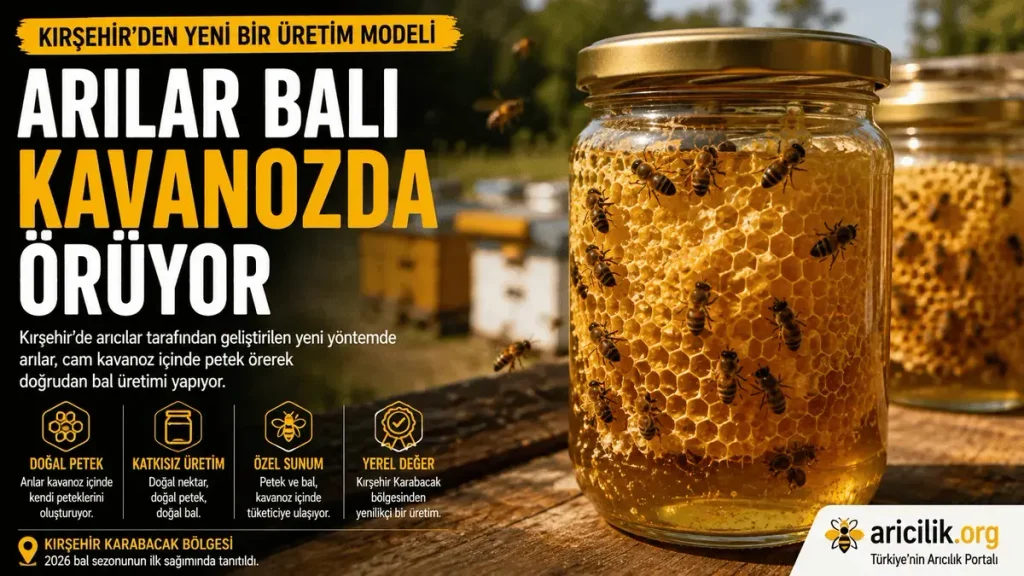Kavanozda bal üretimi — arıların cam kavanoz içinde petek ördüğü Kırşehir üretim yöntemi