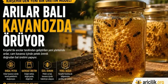 Kırşehir’de Arılar Balı Kavanozda Örüyor