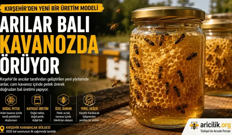 Kırşehir’de Arılar Balı Kavanozda Örüyor
