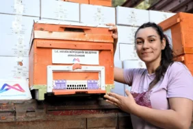Mersin’de Altın Kovan Projesi: Arıcılara 1.200 Arılı Kovan Desteği Mersin Altın Kovan Projesi