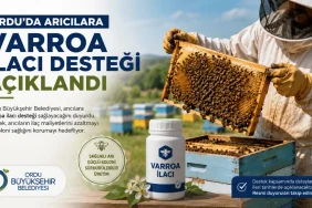 Ordu'da Arıcılara Varroa İlacı Desteği Açıklandı Ordu'da arıcılara Varroa ilacı desteği