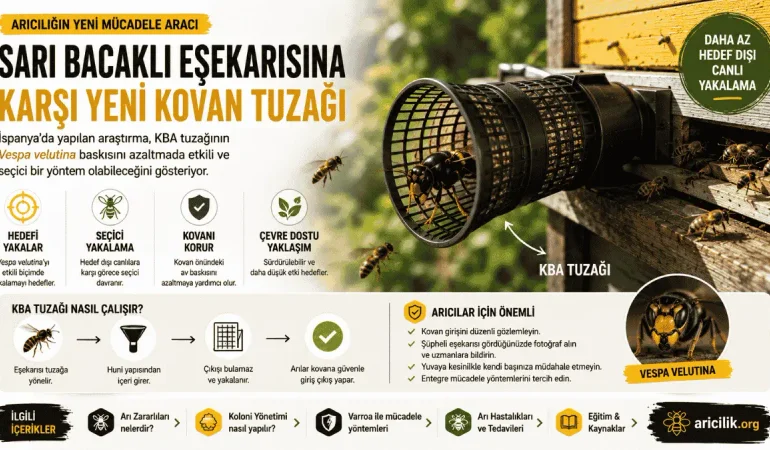 Sarı Bacaklı Eşekarısına Karşı Yeni Kovan Tuzağı: KBA Yöntemi Nasıl Çalışıyor?