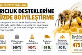 Arıcılık Kayıt Sistemi (AKS) Nedir? e-Devlet ile Kovan ve Arılarınızı Hemen Sorgulayın