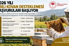 2026 Yılı Arılı Kovan Desteklemesi Başvuruları Başladı 2026 arılı kovan desteklemesi başvuru tarihlerini gösteren arıcı ve kovanlar