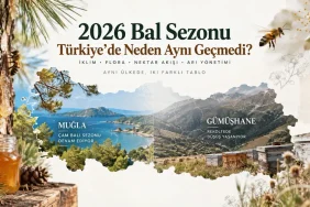 1 Kovanda Kaç Arı Var?
