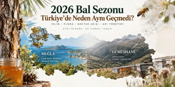 2026 Bal Sezonu Türkiye’de Neden Aynı Geçmedi? Muğla ve Gümüşhane’den İki Farklı Tablo