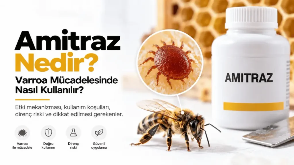 Amitraz nedir ve Varroa mücadelesi