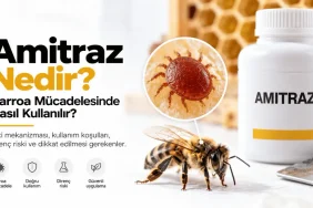 Amitraz nedir ve Varroa mücadelesi