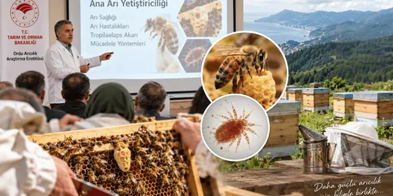 Ana Arı Yetiştiriciliği Eğitiminde İkinci Etap Tamamlandı