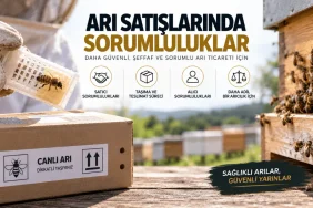 Arı ve Ana Arı Satışlarında Sorumluluk Esasları Arı satışı ve ana arı teslimatında satıcı ile alıcının sorumluluklarını gösteren canlı arı taşımacılığı görseli