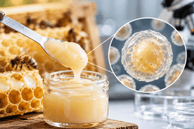 Mersin Arıcılık Araştırması: Bal, Polen, Propolis ve Arı Sütü