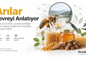 Arıcılık Kayıt Sistemi (AKS) Nedir? e-Devlet ile Kovan ve Arılarınızı Hemen Sorgulayın