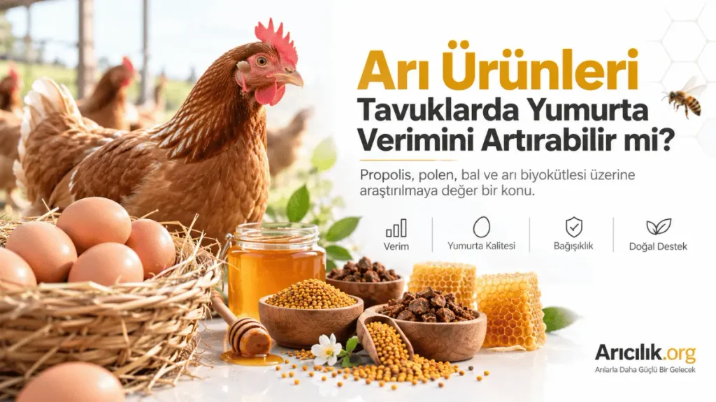 Arı ürünleri ile beslenen tavuklarda yumurta verimi ve kalitesi üzerine araştırma konsepti