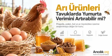 Arı ürünleri ile beslenen tavuklarda yumurta verimi ve kalitesi üzerine araştırma konsepti