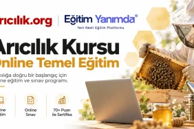 Arıcılık Kursu Online | Arıcılık.org ve EğitimYanımda