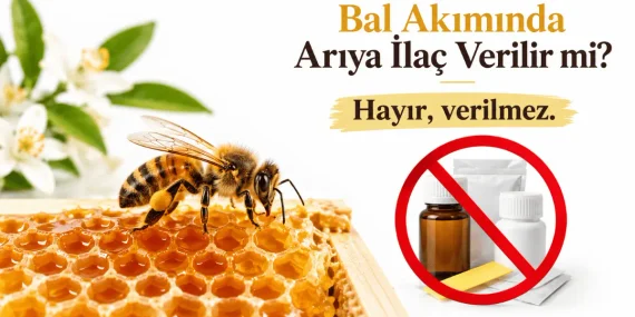 Bal Akımında Arıya İlaç Verilir mi? Arıcılık.org’un Teknik Yaklaşımı