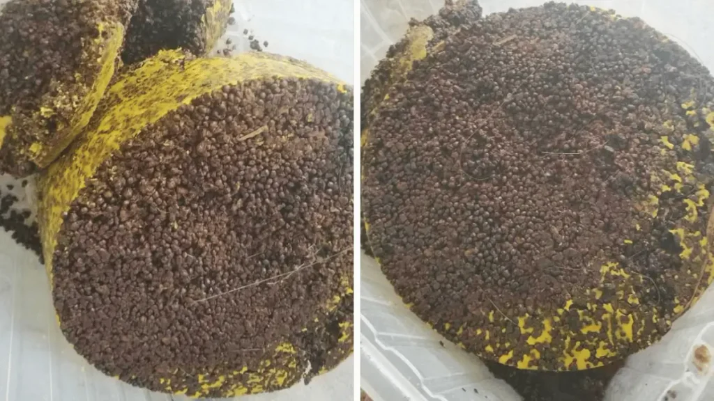 Eski peteklerden bal mumu elde etmek için eritme ve süzme işlemi