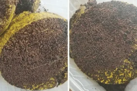 Eski peteklerden bal mumu elde etmek için eritme ve süzme işlemi