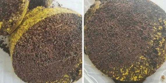 Bal Mumu Nasıl Temizlenir? Eski Petek Nasıl Eritilir?