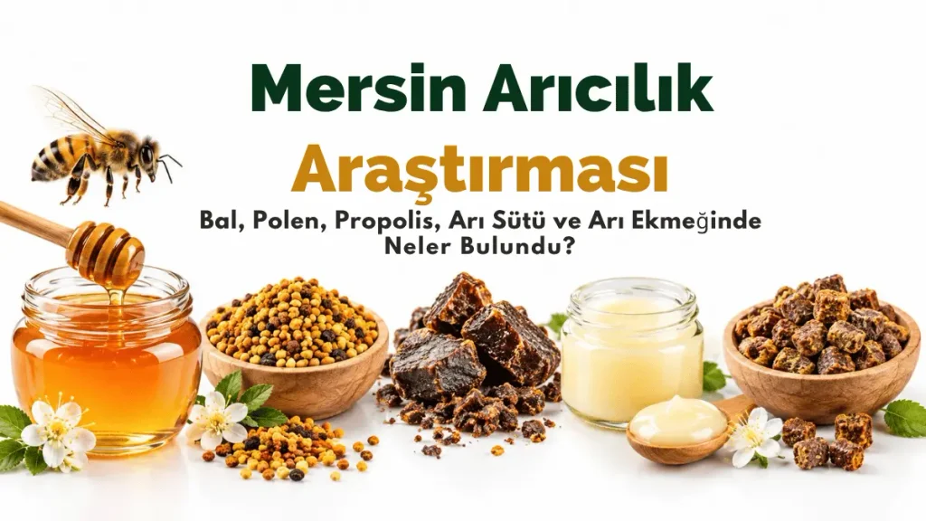 Mersin arıcılık araştırmasında bal, polen, propolis, arı sütü ve arı ekmeği