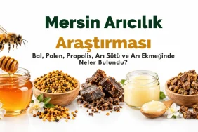 Sözleşmeli Arıcılık Kime Yarar: Arıcı mı, Büyük Şirketler mi Kazanır?