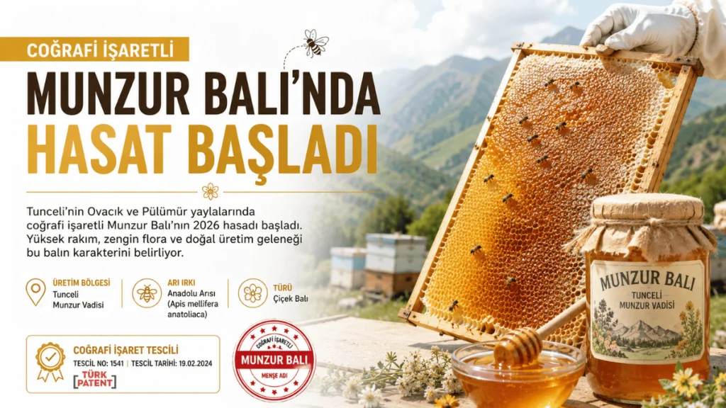 Munzur Balı hasadı Tunceli