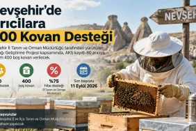 Nevşehir'de Arıcılara 400 Kovan Desteği: Başvurular 11 Eylül'e Kadar Sürecek Nevşehir arıcılık desteği 400 kovan