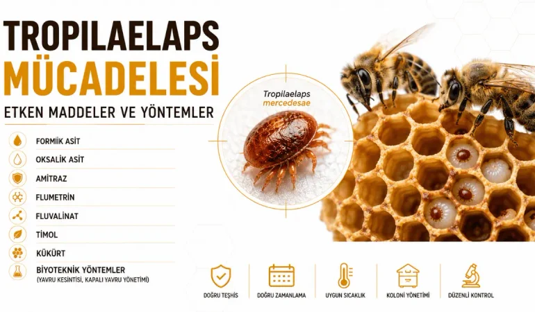 Tropilaelaps Mücadelesinde Kullanılabilecek Etken Maddeler